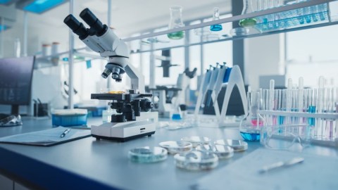Top 20 Biggest Life Sciences Projects Due This Year